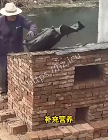 爷爷为怀孕孙女搭鸡窝